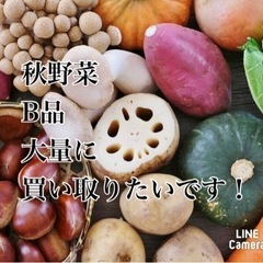 お野菜　果物　買取させてください