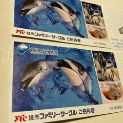 新江の島水族館 チケット ペア