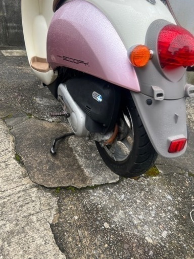 ホンダスクーピー50CC 【公式通販】