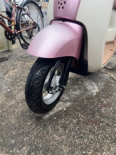 ホンダスクーピー50CC 【公式通販】