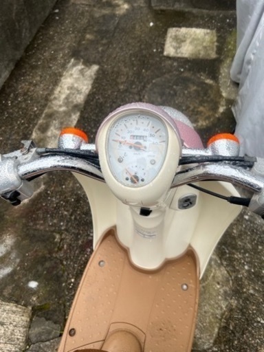 ホンダスクーピー50CC 【公式通販】