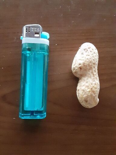 茹で落花生　おおまさりネオの生10キロ❗