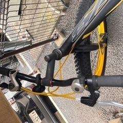 男性大人用自転車