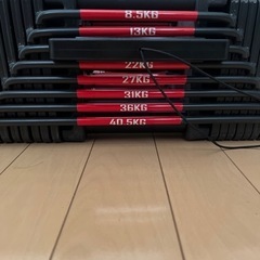 AnYoker 可変式 ダンベル ブロックダンベル 最大40.5kg/個