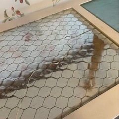 水屋 食器棚　什器