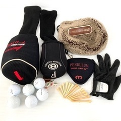 SOLD OUT！】◇WORLD EAGLE F-01 α◇ゴルフクラブ セット＋ Fitway