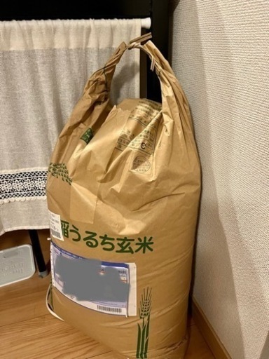 お米玄米 長野県安曇野市コシヒカリ30キロ