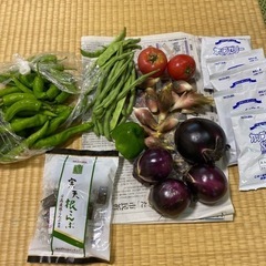 長野県産【お野菜6種】