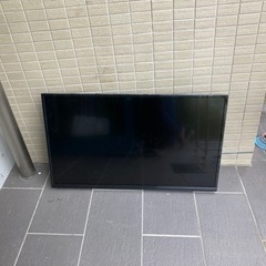 テレビ 43v型 