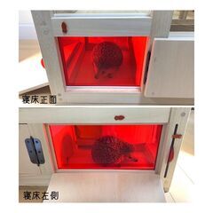 ハリネズミ用ペットケージ+飼育用品一式