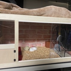 ハリネズミ用ペットケージ+飼育用品一式