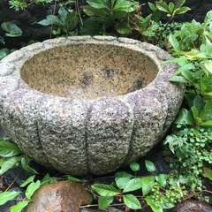 石の金魚鉢差し上げます。お庭に合います。