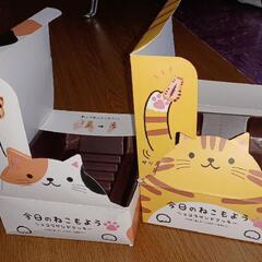今日の猫模様ショコラサンドクッキーの箱ふたつ