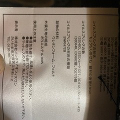 電動リクライニングベット❗️