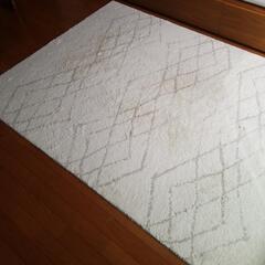 unico『HIMAYA』パイルラグ