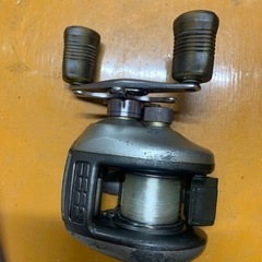 10年以上前の物です。ブラックバス？