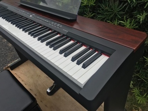 ヤマハ P-155