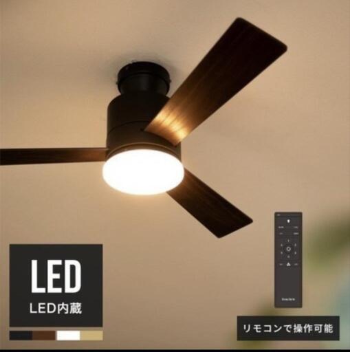 LED シーリングファンライト　バズー　(新品未使用)