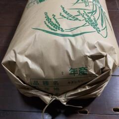 令和5年産キヌヒカリ30kg玄米です！