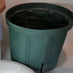 【差上げます】プラスチック製の植木鉢13