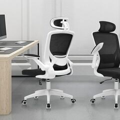新品/展示品　パソコンチェア オフィスチェア 椅子 テレワーク 人間工学椅子 デスクチェア 疲れない 勉強 学習 ランバーサポート付き 360度回転 腰に良い 人気 おしゃれ 白