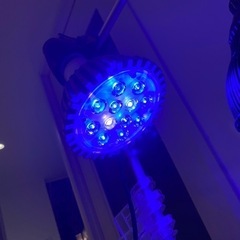 アクアリウム　LED スポットライト　海水魚　淡水魚