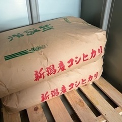 令和三年産　コシヒカリ玄米　30kg 冷蔵庫保管　一袋