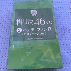 欅坂46 ハンディファン賞