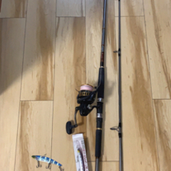 ショワジキングセット　ロッド、リール、ルアー青物　タチウオなど