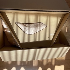 プリウス 50前期 ヘッドライト 片方のみ