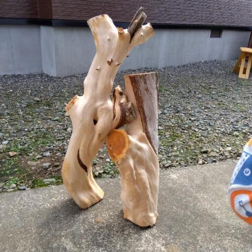 白檀の枝　セット