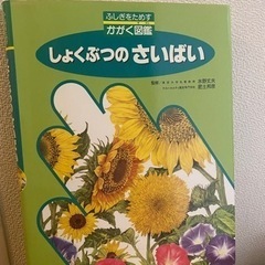 しょくぶつのさいばい フレーベル館