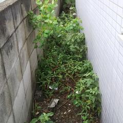 【草刈り】お手伝いします！