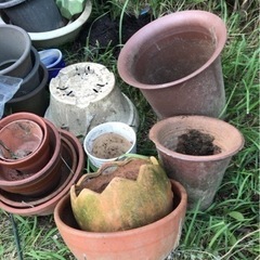 植木鉢たくさん