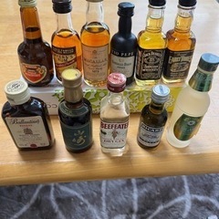 お酒のミニボトル46本 お酒のミニボトル46本