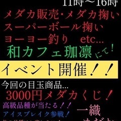 メダカ販売　　アイスブレイク！　他にもたくさん！