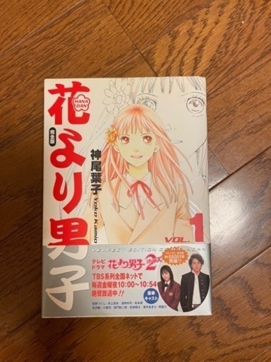 花より男子 完全版 全巻 Www Moonstoneny Com