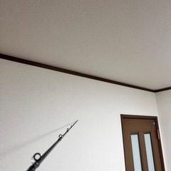 ポイズンアドレナ現行型 1610m