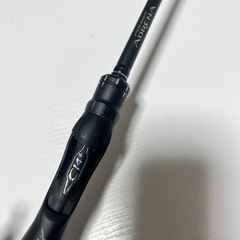 ポイズンアドレナ現行型 1610m