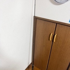 ポイズンアドレナ現行型 1610m