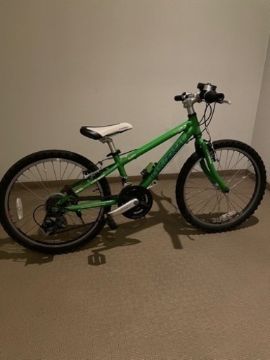 ルイガノ　22インチ　子供用自転車　キッズ　ジュニア　マウンテンバイク　グリーン