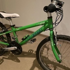 ルイガノ 22インチ 子供用自転車 キッズ ジュニア マウンテンバイク