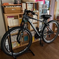 ピスト 完成車