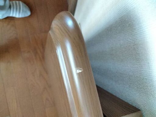 こたつ