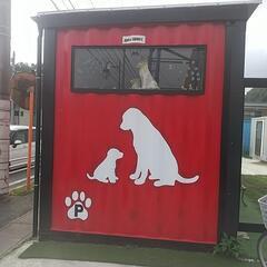 ✴️最終値下げしました✴️全面改装済み ほぼ未使用 真っ赤なコンテナ売ります まだ新築の匂いがします 2020年クリスマスに完成しましたが 商談室にしていたため 数回しか使用しておりません 冷暖付きです 高級素材しょうしています😀ご見学ご希望の方はご予約ください