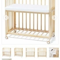 ソイネールムーブ