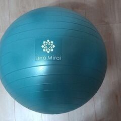 ■Lino Mirai フィットネスボール 55Cm ジャンゴー...