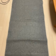 【お譲り先決定】電気毛布　yuasa yc-10g ホットカーペット
