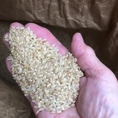 売り切り❗️3年産ヒノヒカリ玄米10kg 1500円　