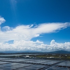 ‼請け現場あります！太陽光パネル設置‼️